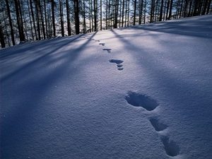 [今日话题]向左 向右