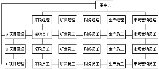 2012注册会计师风险管理知识点:矩阵制组织结构