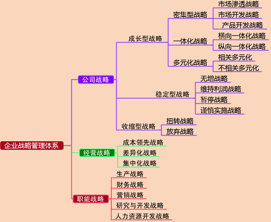 2017高级会计师《高级会计实务》预习知识点：企业战略管理