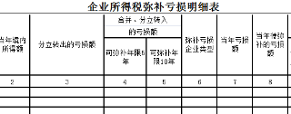 企业所得税弥补亏损明细表