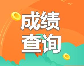 2019cpa什么时候公布成绩?