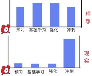 注会百天这才是真正的时间打点大家 布置的明大白白！