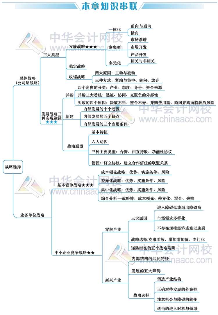 视觉化思维学习法注会公司战略与风险管理思维导图全解