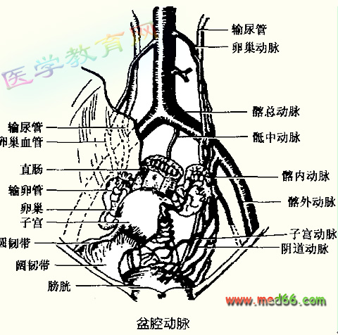 特派医疗小组——打死恐慌与不安!