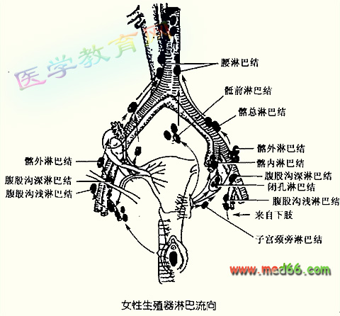 特派医疗小组——打死恐慌与不安!