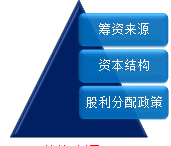 公司战略与风险管理知识点