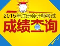 注册会计师成绩查询2015