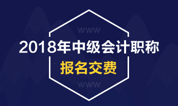 2018年安徽中级会计职称考试网上缴费及收费标准