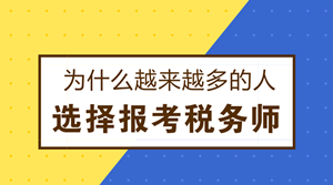 为什么越来越多的人选择报考税务师？