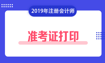 注会2019年准考证打印