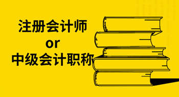 注册会计师or中级会计职称