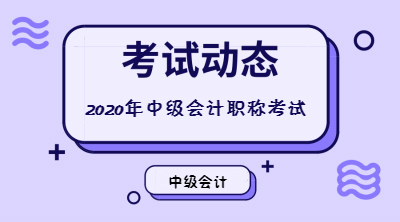 中级会计考试报名费用