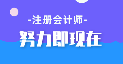 注会综合阶段的考生都是这15个理由的受益人