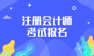 注册会计师考试补报名