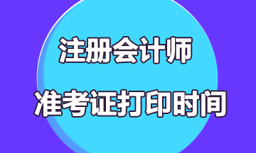 海南海口2019年注册会计师考试什么时候打印准考证