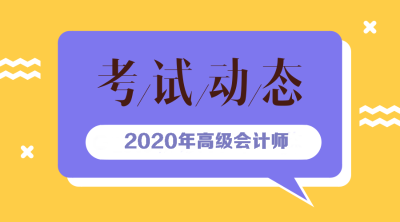 2020高级会计师