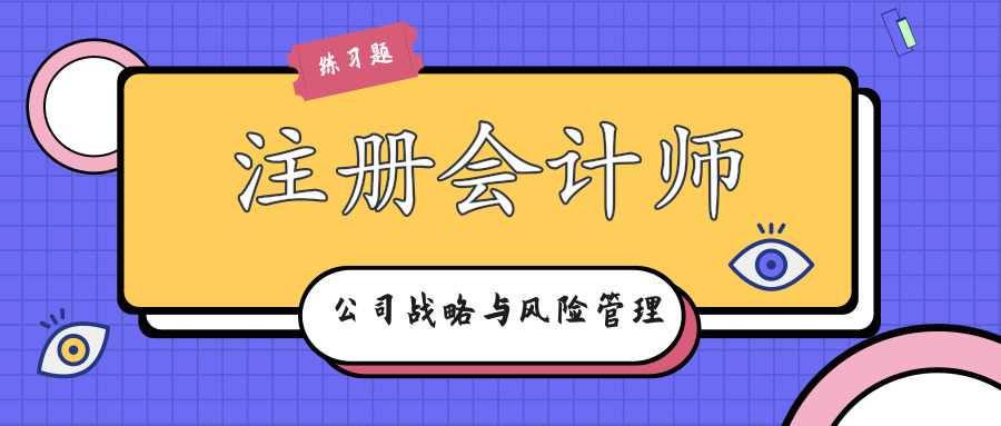 注册会计师战略练习题