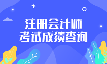 2019年注册会计师考试成绩查询时间