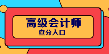 新疆2019年高会考试成绩查询通知