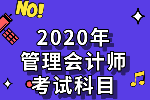 2020年管理会计师考试科目