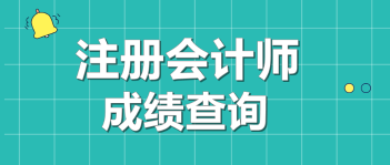 2020年注会成绩查询