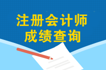 12月能查2019年注会成绩吗？