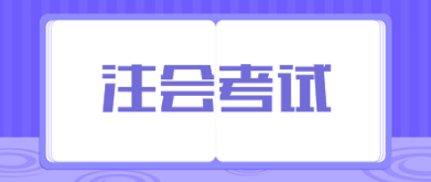 2019注册会计师考试战略试题及答案