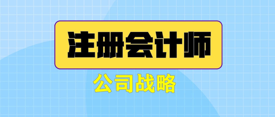 注册会计师《公司战略》练习题