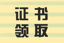 福建领取2019中级会计师证需要携带哪些材料呢？