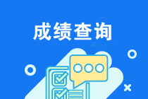 重庆2019年注会成绩查询时间