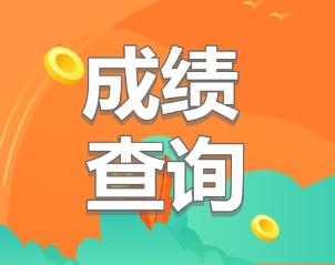 2019年税务师成绩查询