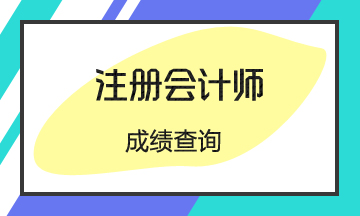 广东注册会计师成绩查询时间