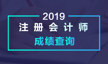 河北石家庄注会考试成绩查询