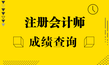 2019注册会计师考试成绩查询