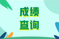 中级经济师2019成绩查询时间发布通知了吗？