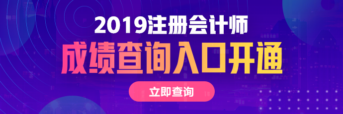 四川2019年注册会计师成绩查询