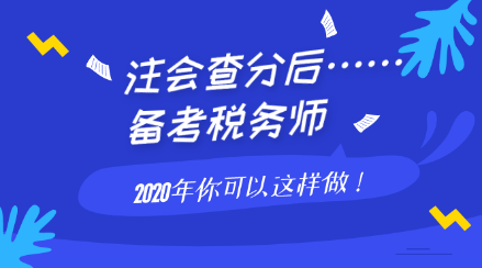 注会查分后备考税务师