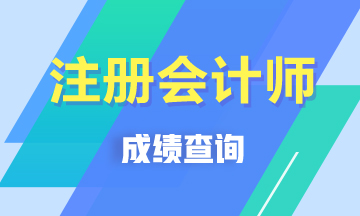 甘肃白银注册会计师成绩查询