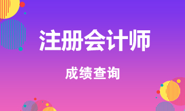 甘肃张掖2019年注册会计师成绩查询入口已开通
