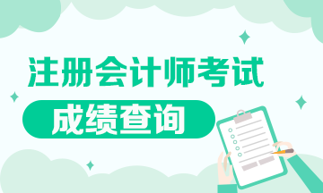 2019年广西玉林市注册会计师成绩查询入口已开通