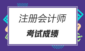 广东广州注会2019年成绩查询入口