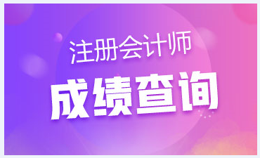 2019河北石家庄注会考试成绩可以查询了！