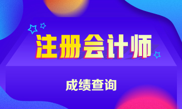 2019上海注册会计师查分是什么时候？