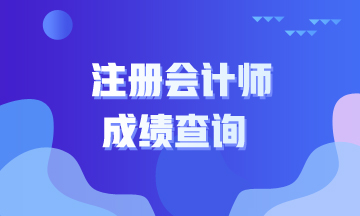 2019注册会计师什么时候可以出成绩？