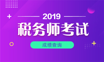 2019税务师考试成绩查询