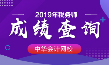 2019年税务师成绩查询