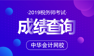 2019税务师考试成绩查询~