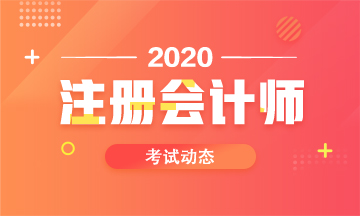 安徽2020cpa考试时间安排