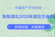 免除湖北2020年度应交会费  中评协与湖北评估机构共克时艰 