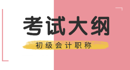 2020年初级会计考试大纲你了解清楚了吗？